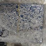 Indian and Hong Kong customs bust trade-based money laundering network, 4 arrested