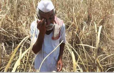 कन्नौज में दबंगों का आतंक: किसान के साथ क्रूरता की घटना से दहशत