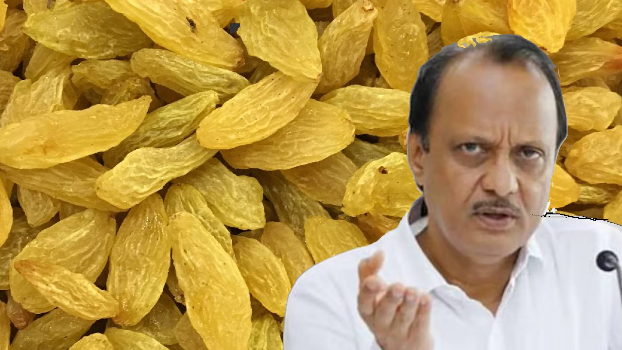 चीन से किशमिश की अवैध आयात पर रोक लगे: अजित पवार ने केंद्र को लिखा पत्र